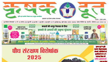 Second Feature Image