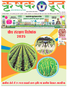 Second Feature Image