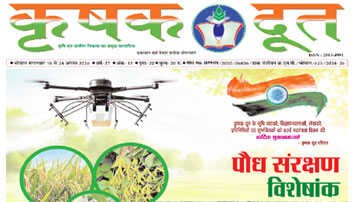 Second Feature Image